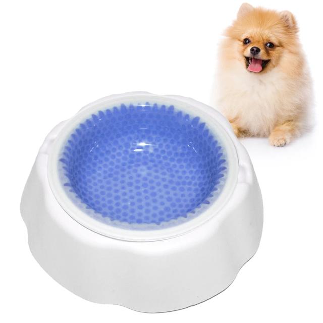 Tigela de Alimentação Fresca para Cachorros e Filhotes com Resfriamento Rápido