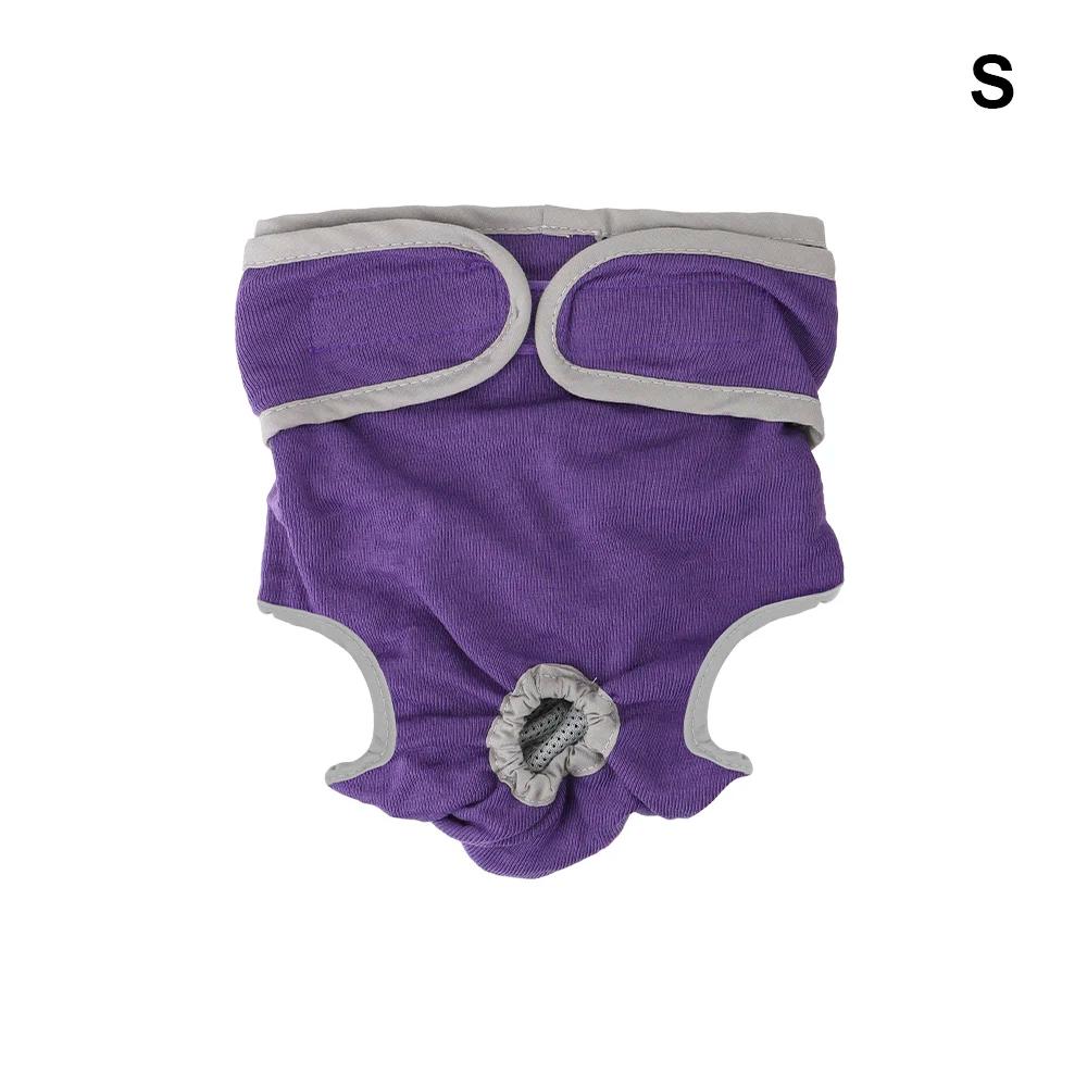 Calças fisiológicas para cães, shorts para cães fêmeas, produtos para animais, suprimentos para cães, pequeno tamanho médio, fralda para cachorros - Image 1