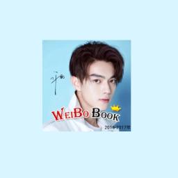 Caindo em seu sorriso antigo amor poesia ator xu kai citações weibo história photobook álbum de fotos fãs coleção livro - Image 2