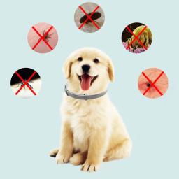 Coleira anti-pulgas e carraça para cães, coleira antiparasitária, acessórios para animais, coleiras de gatos, suprimentos para cachorros, 8 meses, nova - Image 2