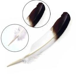 Pluma Natural Branco e Preto Turquia Penas para Artesanato, Penas DIY, Decoração para Festa de Casamento, Acessórios para Casa, 25-30cm, 10Pcs - Image 2