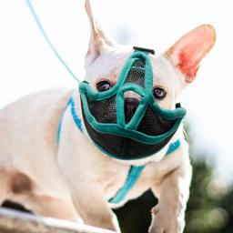 Focinho ajustável para animais de estimação, malha respirável, máscara bucal, parar de latir, suprimentos ao ar livre, buldogue francês Pug - Image 2