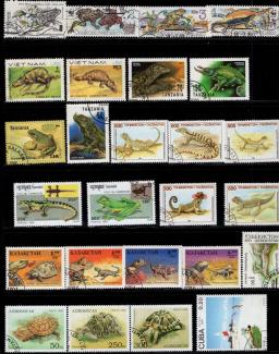 50 Pçs/lote Réptil Animais Selo Selos postais Tema Diferente De Muitos Países NÃO Repetir com Pós Marca para a Coleta de - Image 1