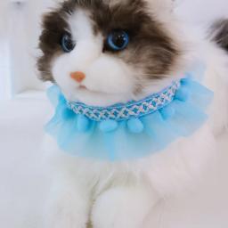 Pequeno hairballs colar moda simples rendas gatos colar coleiras para filhote de cachorro animais de estimação festa suprimentos ajustáveis acessórios - Image 1