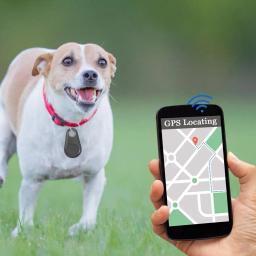 Cão inteligente localizador bluetooth animal de estimação gps tracker animal estimação gato cão colarinho alarme liberação do obturador remoto automático sem fio rastreador para animais de estimação - Image 4