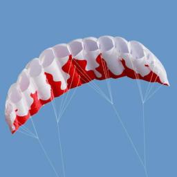Profissional Dual Line Power Kite, Surf Stunt Kite, Summer Beach Kitesurfing Trainer, Fly Wing para esportes aquáticos ao ar livre - Image 3