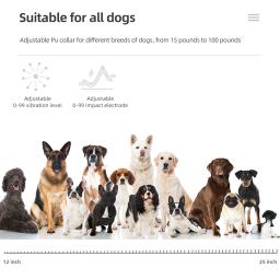 800m coleira de treinamento do cão animal estimação choque elétrico anti latido dispositivo controle remoto à prova dwaterproof água recarregável para todos os cães tamanho - Image 3