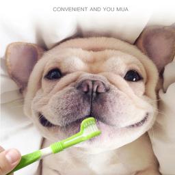 Pet Toothbrush Kit para cão e gato, Cuidados dentários, Três cabeças, Dedo Toothbrush, Dentes limpeza da boca - Image 2