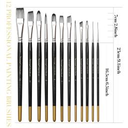 Dainayw conjunto de pincéis artísticos com 12 pincéis profissionais para aquarela, acrílico, guache, óleo e pintura tempera - Image 3