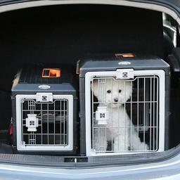 Alwaysm-transportador portátil dobrável para animais de estimação, gato de cachorro, air cairrier, carregador superior de duas portas, resistente, viagem para animais de estimação - Image 4
