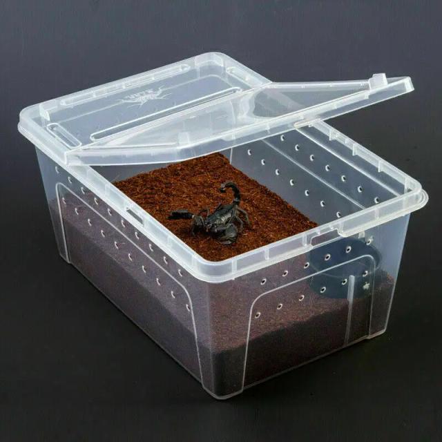 Caixa de Répteis Transparente para Terrário, Transporte de Anfíbios e Insetos, Ideal para Reprodução e Alimentação