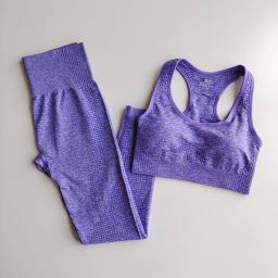 Conjunto de Yoga Sem Costura para Mulheres, Workout Sportswear, Roupas de Academia, Sutiã Esportivo, Leggings de Cintura Alta, Fatos Fitness, Roupas Esportivas, 2 peças - Image 3