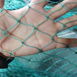 Pesado Anti Bird Netting Garden Fence e Culturas, Malha protetora de esgrima, Rede de pesca, veados, gato, cachorro, frango - Image 1