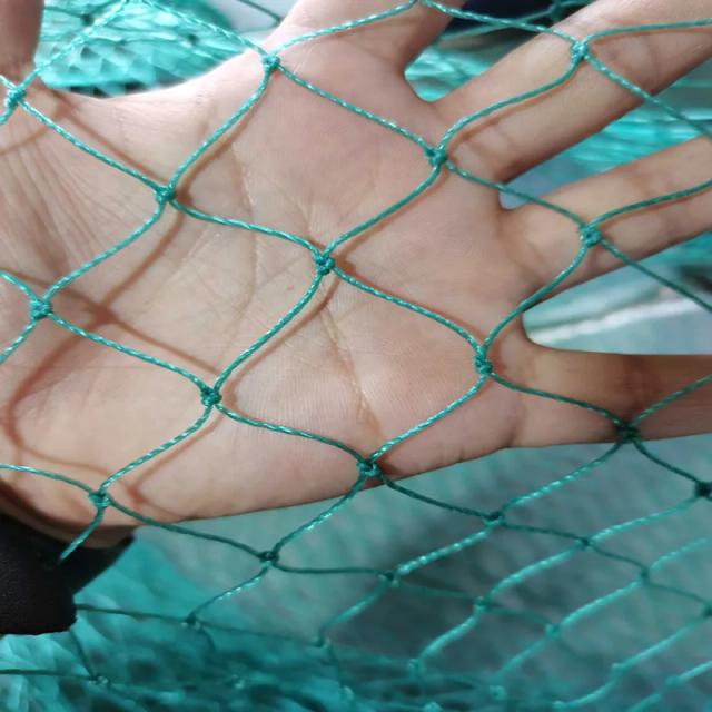 Malha Protetora Pesada para Jardinagem: Rede Anti-Pássaros e Proteção para Culturas contra Veados, Gatos, Cachorros e Galinhas