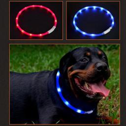 Usb luminoso coleira para animais de estimação para gatos recarregável piscando noite acessórios do cão led luz coleiras do cão incandescente teddy bulldog francês - Image 1