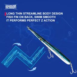 Reino iscas de pesca 11g 13g 30g 40g 205mm 130mm longa fundição agulha lápis artificial stickbaits afundando flutuante isca de pesca - Image 4