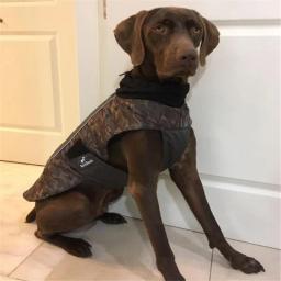 Jaqueta de camuflagem para cachorro, casaco para animais de estimação ao ar livre, à prova d'água, à prova de vento, selva, caça, roupas de acampamento, roupa de uso externo para cachorros pequenos e grandes (argolas) - Image 1
