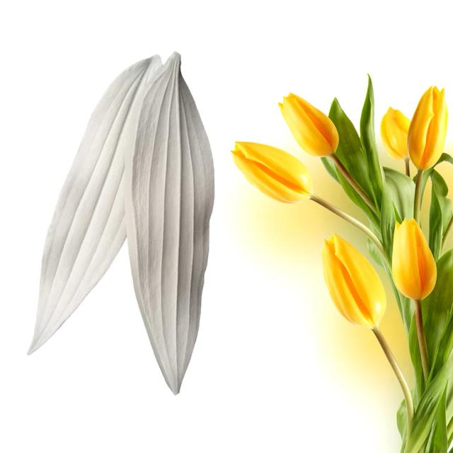 Molde de Silicone para Folha de Tulipa - Ideal para Confeitaria e Decoração de Bolos