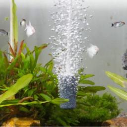 Bomba aeradora para aquário, pedra cilíndrica de bolha de ar, difusor de oxigênio para hidroponia, acessórios para tanque de peixes - Image 6