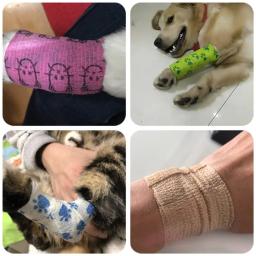 Bandagem elástica para cães e gatos, fita esportiva multifuncional à prova d'água e adesiva para animais de estimação, 1 peça - Image 6