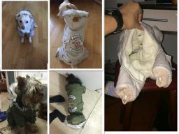 Roupas para animais de estimação, casaco quente de inverno com capuz, acolchoado de algodão, fantasia para cães de pelúcia, roupas para cachorro e gato - Image 3