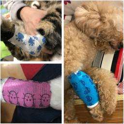 Bandagem elástica para os pés de pets, adesivo em 4 tamanhos para animais de estimação, cachorro, gato, material médico de cuidados de saúde, 1 rolo - Image 6