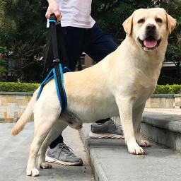 Arnês ajustável para elevação das costas e pés, suporte para animais de estimação, pernas fracas, ferramenta de ajuda para cães idosos - Image 4