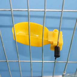 Suprimentos de alimentação de aves codorna, 50 peças bebedouro tigela de galinha codorna pombos pássaro suspensão bebedouro fonte - Image 3