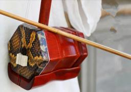 Chinês erhu huqin instrumento de cordas folclóricas haste plana myanmar mogno primária cor nenhuma pintura profissional música acessórios erhu - Image 6
