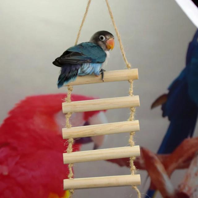 Suporte Multifuncional para Papagaios: Escadas, Brinquedos, Corda e Acessórios para Gaiolas