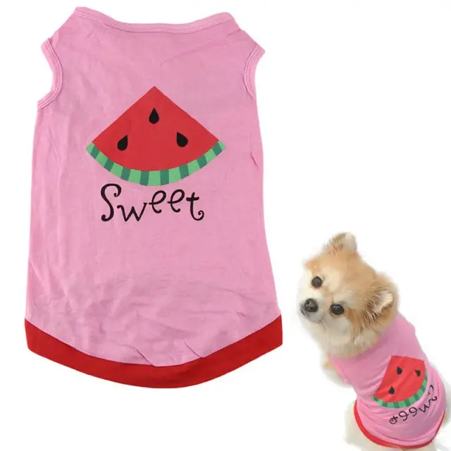 Roupas Estilosas para Gatos e Cães: Camisetas Esportivas, Fantasias e Looks Elegantes para Filhotes e Chihuahua