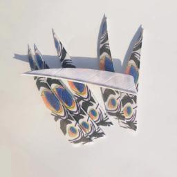 Pena de pavão para arco e flecha, escudo para arco e caça 20 peças - Image 2