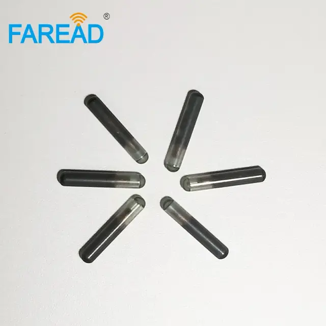 Tag de Vidro Biométrico para Pets e Arowanas - Microchip FDX-B EM4305, 2.12x12mm, Pacote com 60 Unidades