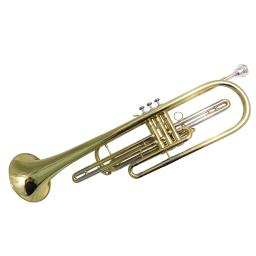 Bb baixo trompete instrumentos musicais laca prata niquelado com caso bocal - Image 3