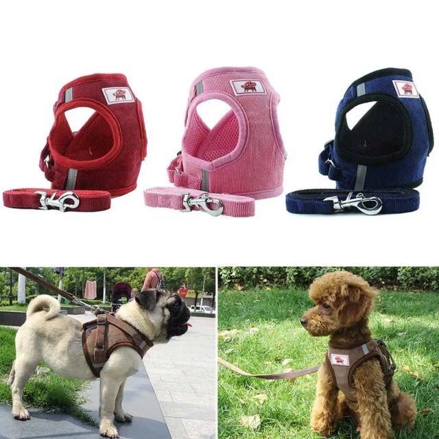 Colete Acolchoado Ajustável para Caminhadas e Treinamento de Cães Pequenos e Médios como Chihuahua e Pug