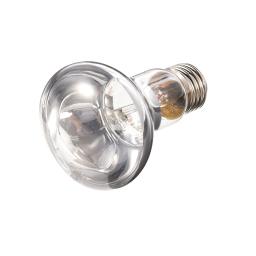 Lâmpada de aquecimento para répteis de animais de estimação, dia e noite, pássaro anfíbio, cobra, luz solar, 60w, 75w, 100w - Image 1