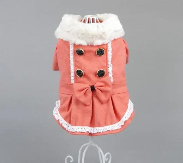 Roupas de Inverno e Suprimentos para Animais de Estimação