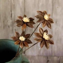 Flores Secas Naturais para Decoração, Guirlanda DIY, Quisqualis, Casa e Natal Suprimentos, Flores Artesanais Acessórios, 5PCs por Saco, Novo - Image 4