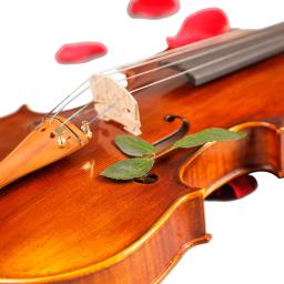 Anjo oito-violino profissional, 4/4, listras naturais, bordo, mestre, artesanato, violino instrumentos de corda com caso de arco - Image 5