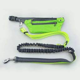 Trela impermeável com bolsos para Pet, cinto elástico, trela para correr, correr e caminhar, cinto para cães, suprimentos para animais de estimação - Image 4