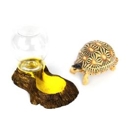 Répteis Anfíbios Automático Waterer Tartaruga Bacia Lagarto Tigela Alimentador De Água Fontes Bebendo Reptile Box Paisagismo Decoração - Image 2