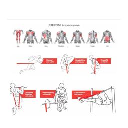 Faixa de resistência para ioga, pilates, exercício, fisioterapia, ginásio, treinamento, atlético, borracha, elástico, crossfit equipamentos - Image 5