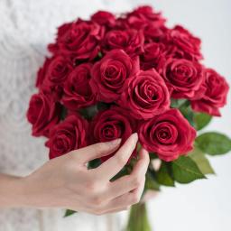 15 pçs/lote seda toque real rosa artificial linda flor casamento falso floral para festa em casa decoração de natal presente dos namorados - Image 5