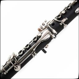 Alta qualidade preto fosco superfície clarinete iniciantes favorito - Image 2