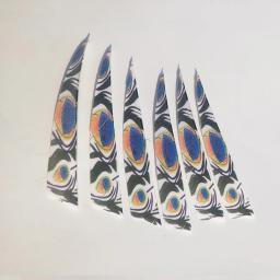 Pena de pavão para arco e flecha, escudo para arco e caça 20 peças - Image 5