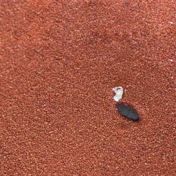 Areia para répteis, escalada, pet, guarda de cálcio, palácio, tapete de areia, lagarto, caixa de criação, tartaruga, hidroponia - Image 3