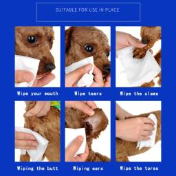 100 Animais de Estimação Cães Gatos Pçs/set Olhos Lenços Umedecidos De Limpeza Toalhas De Papel Wipes Removedor de Mancha Lágrima Suave Não-intivating Grooming Suprimentos - Image 5