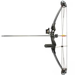Caça ajustável Bow Set, Composto Bow, Tiro com Arco, Mão direita ao ar livre, M183 - Image 1