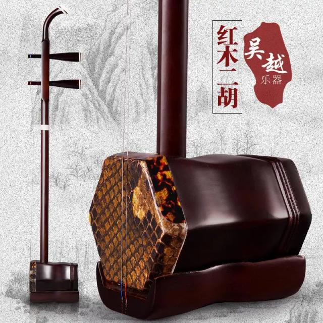 Erhu: Instrumento Musical Chinês de Madeira com Estojo Rígido e Design Elegante