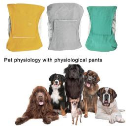 Novas calças de fralda para cães de estimação, reutilizáveis, para higiene menstrual, suprimentos para animais de estimação, calça fisiológica higiênica à prova d'água - Image 1